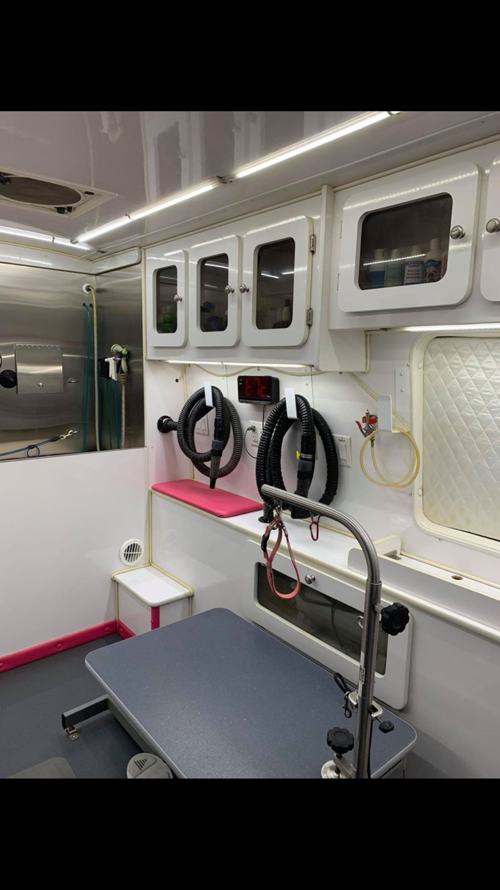 Green Bulldog Dog Wash And Spa 2025